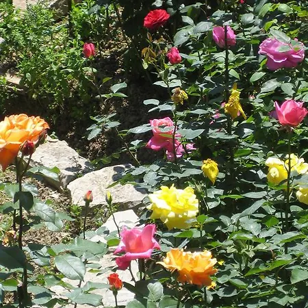 Holidays Апарт-отель Василики