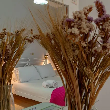 Holidays Василики