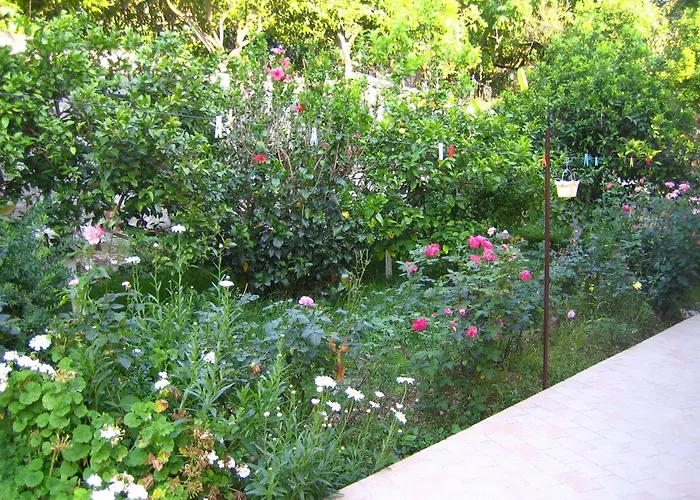 Holidays Vasiliki (Lefkada)