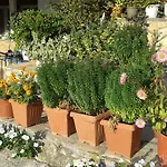 Appart hôtel Holidays Vasiliki