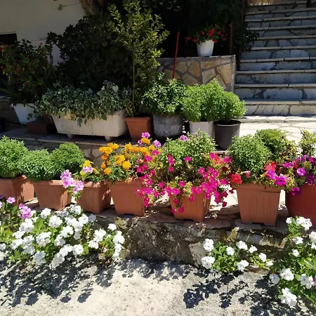 Apart Otel Holidays 3*