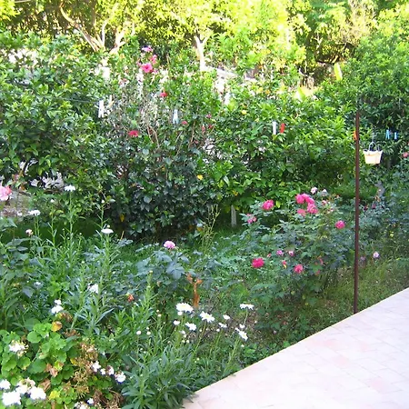 Holidays Vasiliki (Lefkada)