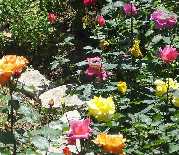 Holidays Aparthotel Vasiliki (Lefkada)