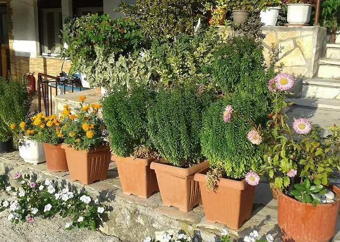 Lägenhetshotell Holidays Vasiliki